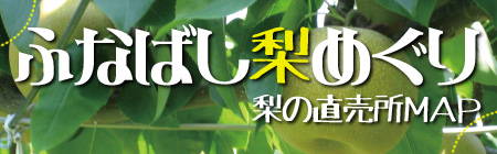 201208_nashi_logo.jpg