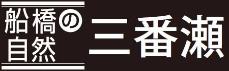 201301_sanbanze_logo.jpg