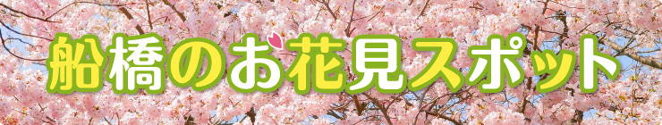 201403_hanami_logo.jpg