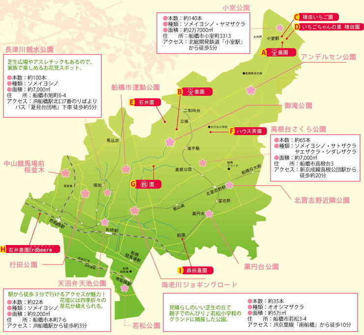 201503_sakuraichigo_map.jpg