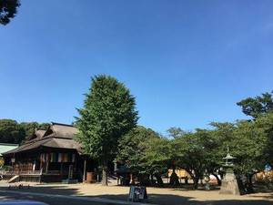 img_5156huroyasitteru