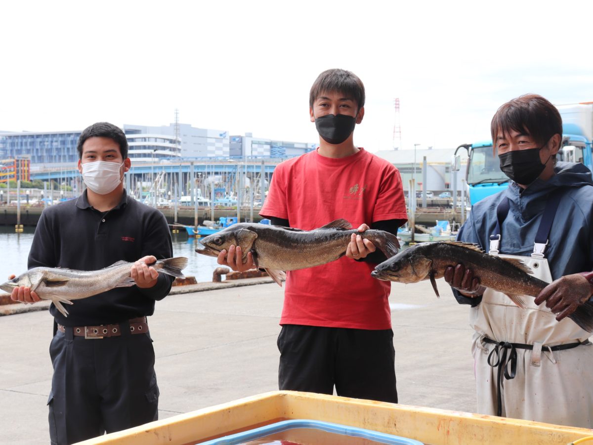 江戸前船橋瞬〆すずき」の鮮度と旨味を保つ「瞬〆」技を披露 、スズキ漁獲量日本一の船橋漁港で